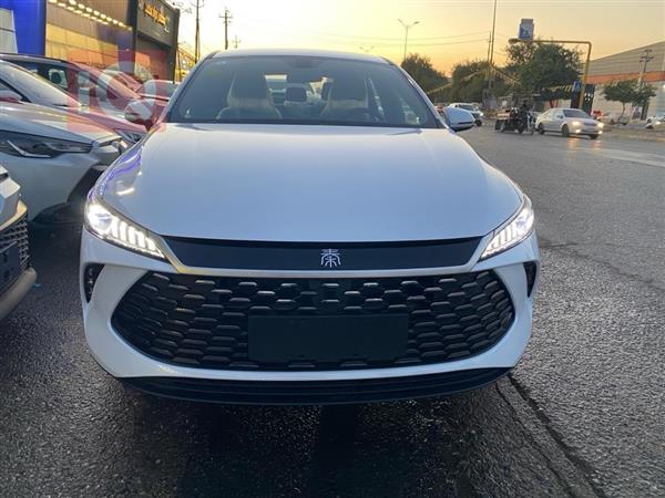 بي واي دي Qin Plus 2025 للبيع في العراق - اربيل